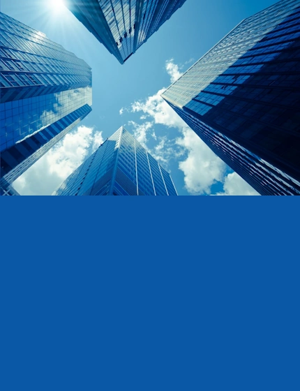 Projects Services