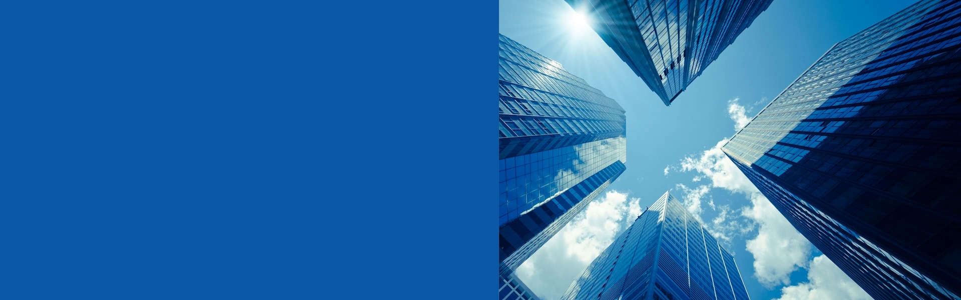 Projects Services